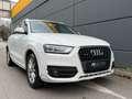Audi Q3 2.0 TDI OUATTRO*KLIMA*TEMPOMAT*AHK*KREDIT MÖGLICH Weiß - thumbnail 1