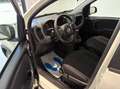 Fiat Panda 1.0 firefly hybrid s&s 70cv 5p.ti Blanc - thumbnail 10