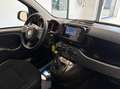 Fiat Panda 1.0 firefly hybrid s&s 70cv 5p.ti Bianco - thumbnail 13