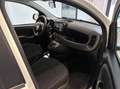 Fiat Panda 1.0 firefly hybrid s&s 70cv 5p.ti Blanc - thumbnail 11