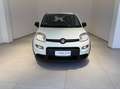 Fiat Panda 1.0 firefly hybrid s&s 70cv 5p.ti Blanc - thumbnail 3