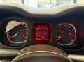 Fiat Panda 1.0 firefly hybrid s&s 70cv 5p.ti Blanc - thumbnail 15