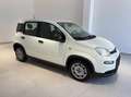 Fiat Panda 1.0 firefly hybrid s&s 70cv 5p.ti Blanc - thumbnail 1