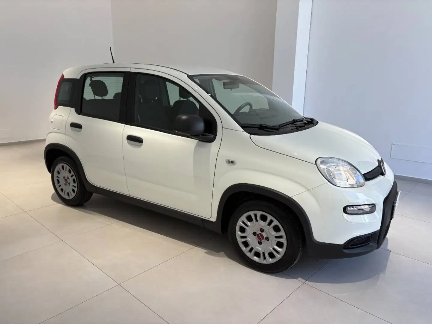 Fiat Panda 1.0 firefly hybrid s&s 70cv 5p.ti Blanc - 1