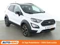 Ford EcoSport 1.0 EcoBoost Active*TEMPO*PDC*KLIMA*GARANTIE* Weiß - thumbnail 8