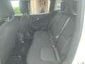 Jeep Renegade Renegade 1.6 mjt Longitude 2wd 120cv Bianco - thumbnail 14