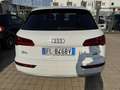 Audi Q5 Promo 2026 - 2.0 tdi Sport quattro 190cv s-tronic - thumbnail 5