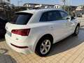 Audi Q5 Promo 2026 - 2.0 tdi Sport quattro 190cv s-tronic - thumbnail 6