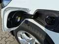 BMW X1 25 e AHK Pano HUD Adap. LED Privacy Verglasung Weiß - thumbnail 14