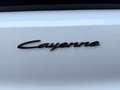 Porsche Cayenne Weiß - thumbnail 17