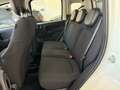 Fiat Panda PANDA III 2024 1.0 FIREFLY HYBRID VARI COLORI - thumbnail 11
