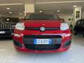 Fiat Panda PANDA III 2024 1.0 FIREFLY HYBRID VARI COLORI - thumbnail 8