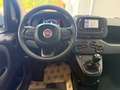 Fiat Panda PANDA III 2024 1.0 FIREFLY HYBRID VARI COLORI - thumbnail 10