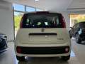Fiat Panda PANDA III 2024 1.0 FIREFLY HYBRID VARI COLORI - thumbnail 17