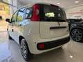 Fiat Panda PANDA III 2024 1.0 FIREFLY HYBRID VARI COLORI - thumbnail 15