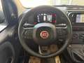 Fiat Panda PANDA III 2024 1.0 FIREFLY HYBRID VARI COLORI - thumbnail 9