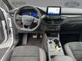 Ford Kuga ST-Line X LED+Navi+Kamera+Winterpaket Weiß - thumbnail 13