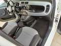 Fiat Panda 1.2 Lounge easypower Gpl 69cv Blanc - thumbnail 15
