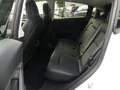 Tesla Model Y Long Range Dual AWD PANO/ACC/KAM/378KW Blanc - thumbnail 11