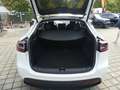Tesla Model Y Long Range Dual AWD PANO/ACC/KAM/378KW Weiß - thumbnail 16