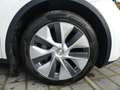 Tesla Model Y Long Range Dual AWD PANO/ACC/KAM/378KW Weiß - thumbnail 21