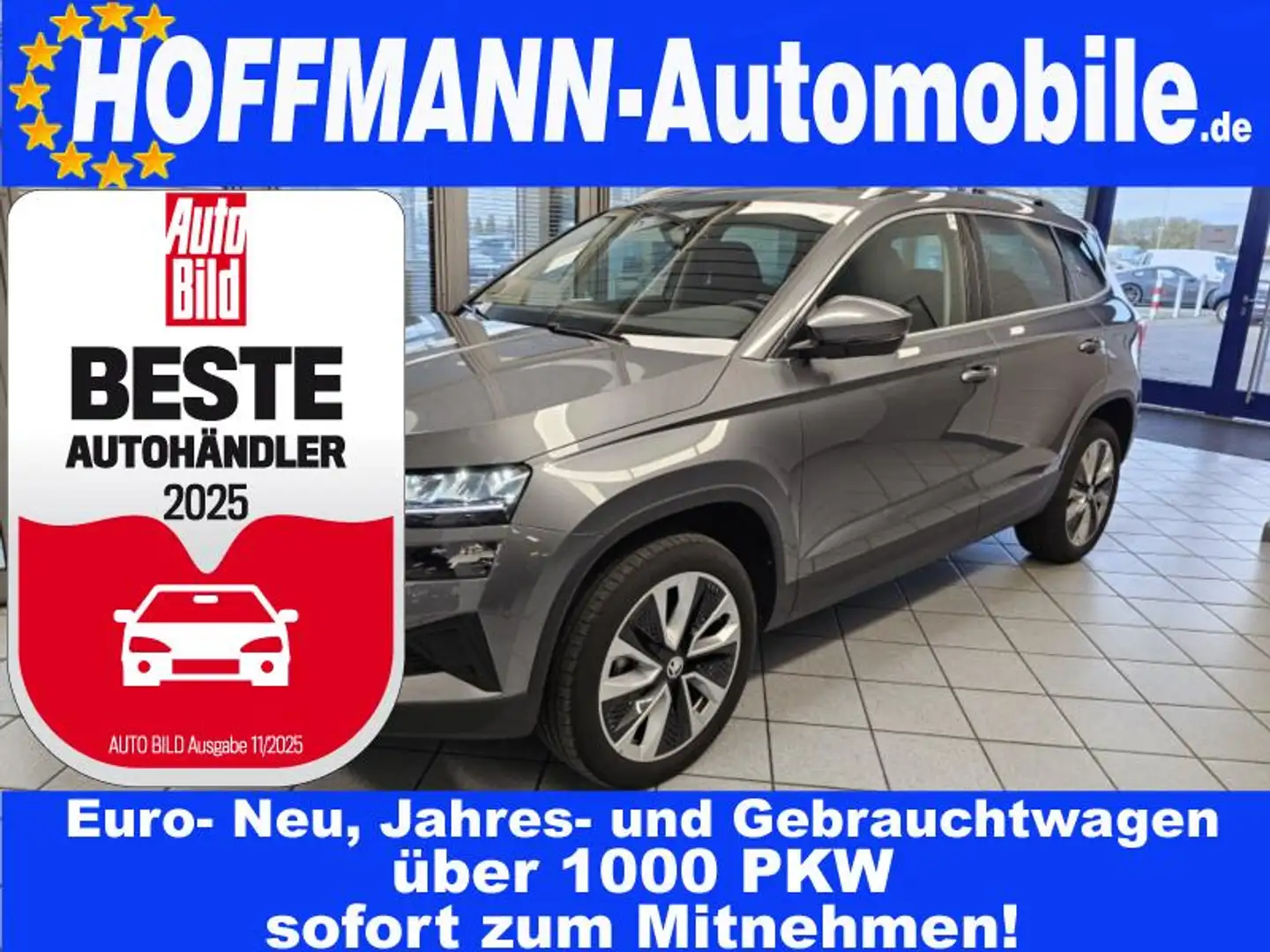 Skoda Karoq Selection Smart-Link,LED,Sitzheizung,PDC Grau - 1