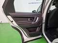 Land Rover Discovery Sport Discovery Sport I 2015 2.0 td4 SE awd 150cv auto Blanco - thumbnail 39