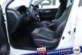 Nissan Qashqai Tekna #Panorama  #360°-Kamera #CD #Frontscheibe... Blanc - thumbnail 13