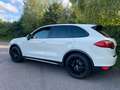 Porsche Cayenne 3.0 D V6 2011 Weiss Diesel Automatik Weiß - thumbnail 3