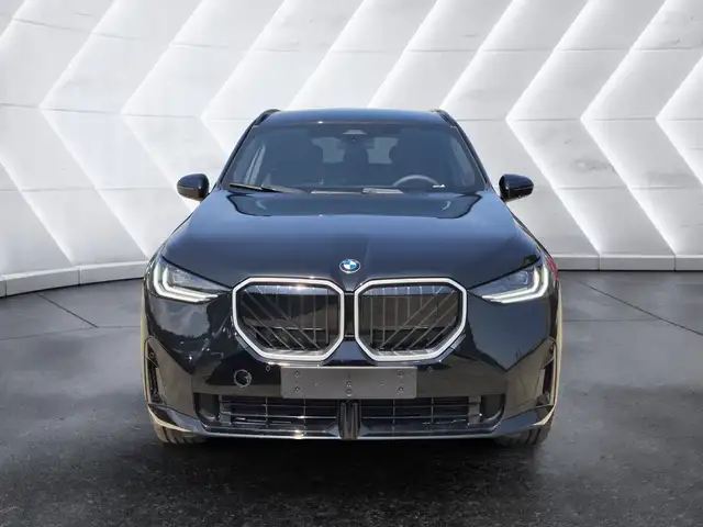 BMW X3 view 2