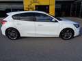 Ford Focus 1,0 EcoBoost ST-Line Weiß - thumbnail 3