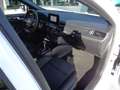Ford Focus 1,0 EcoBoost ST-Line Weiß - thumbnail 6