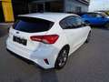 Ford Focus 1,0 EcoBoost ST-Line Weiß - thumbnail 4