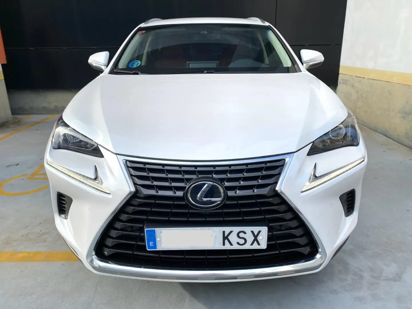 Lexus NX 300 300h Executive Navigation 4WD Blanco - 2