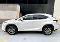 Lexus NX 300 300h Executive Navigation 4WD Blanco - thumbnail 4