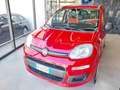 Fiat Panda 0.9 TwinAir Turbo Natural Power Young Rosso - thumbnail 3