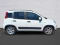 Fiat Panda Panda III 2021 1.0 firefly hybrid City Life s Bianco - thumbnail 4