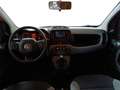 Fiat Panda Panda III 2021 1.0 firefly hybrid City Life s Bianco - thumbnail 12