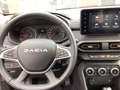 Dacia Sandero Stepway Expression 1.0 TCe 90 CVT Grigio - thumbnail 8