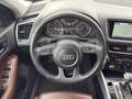 Audi Q5 2.0 TDI 177CV quattro S tr. Adv.Plus S LINE Schwarz - thumbnail 17