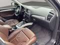 Audi Q5 2.0 TDI 177CV quattro S tr. Adv.Plus S LINE Schwarz - thumbnail 20