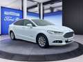 Ford Mondeo 2.0 Hybrid Start-Stopp CVT Blanco - thumbnail 14