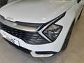 Kia Sportage 1.6 T-GDi HEV 158kW (215CV) Drive 4x2 - thumbnail 10