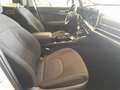 Kia Sportage 1.6 T-GDi HEV 158kW (215CV) Drive 4x2 - thumbnail 13