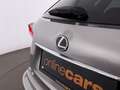 Lexus NX 300h Luxury Line AWD Aut LED SKY RADAR LEDER Grau - thumbnail 10
