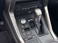 Lexus NX 300h Luxury Line AWD Aut LED SKY RADAR LEDER Grau - thumbnail 17