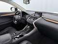 Lexus NX 300h Luxury Line AWD Aut LED SKY RADAR LEDER Grau - thumbnail 14