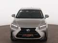 Lexus NX 300h Luxury Line AWD Aut LED SKY RADAR LEDER Grau - thumbnail 2