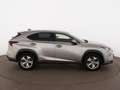 Lexus NX 300h Luxury Line AWD Aut LED SKY RADAR LEDER Grau - thumbnail 9