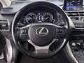 Lexus NX 300h Luxury Line AWD Aut LED SKY RADAR LEDER Grau - thumbnail 21